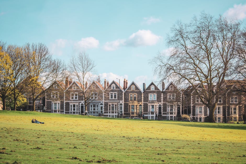 A spacious, well-maintained green park in Merton Park with a row of Victorian-style terraced houses in the background, featuring brick facades, large windows, and pitched roofs. In the foreground, two people are lying on the grass, relaxing in the natural sunlight. To the right, a large leafless tree stands prominently, casting shadows on the lawn. The sky is bright with a few scattered clouds, indicating a clear day. The environment appears calm and residential, with the setting ideal for satellite activities such as home relocation and furniture transport. The open space and the residential backdrop align with the moving services provided by Man with Van Merton Park, who specializes in house removals, packing and moving, and loading processes in Merton Park.