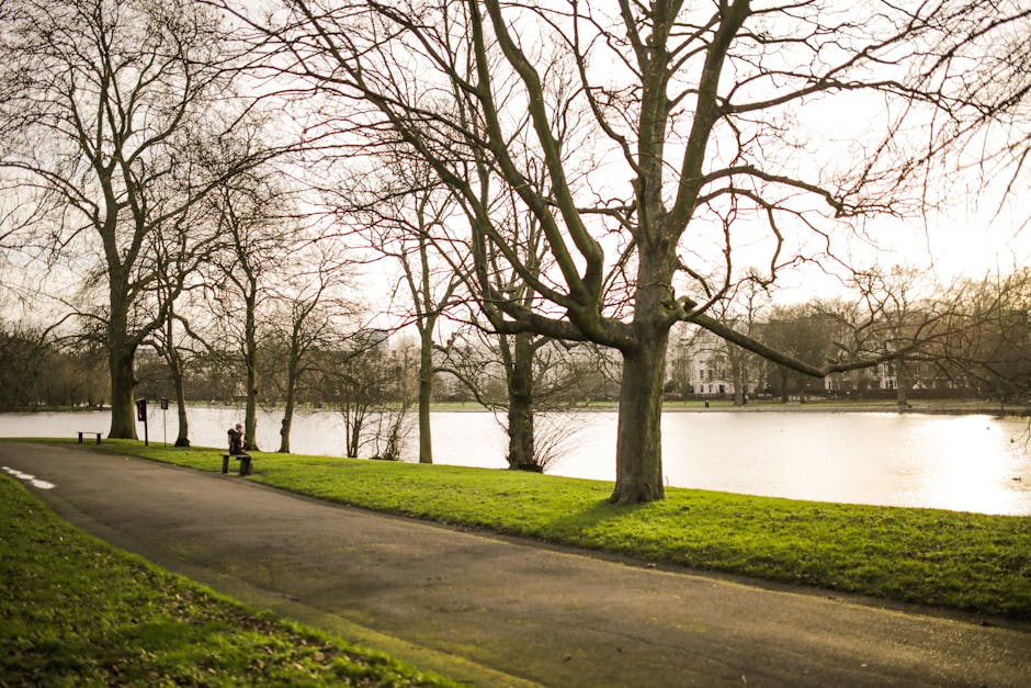 An aerial photograph of a park in Merton Park featuring a large rectangular pond with two smaller adjoining water bodies connected by a white footbridge and a pathway that runs around the water's edge