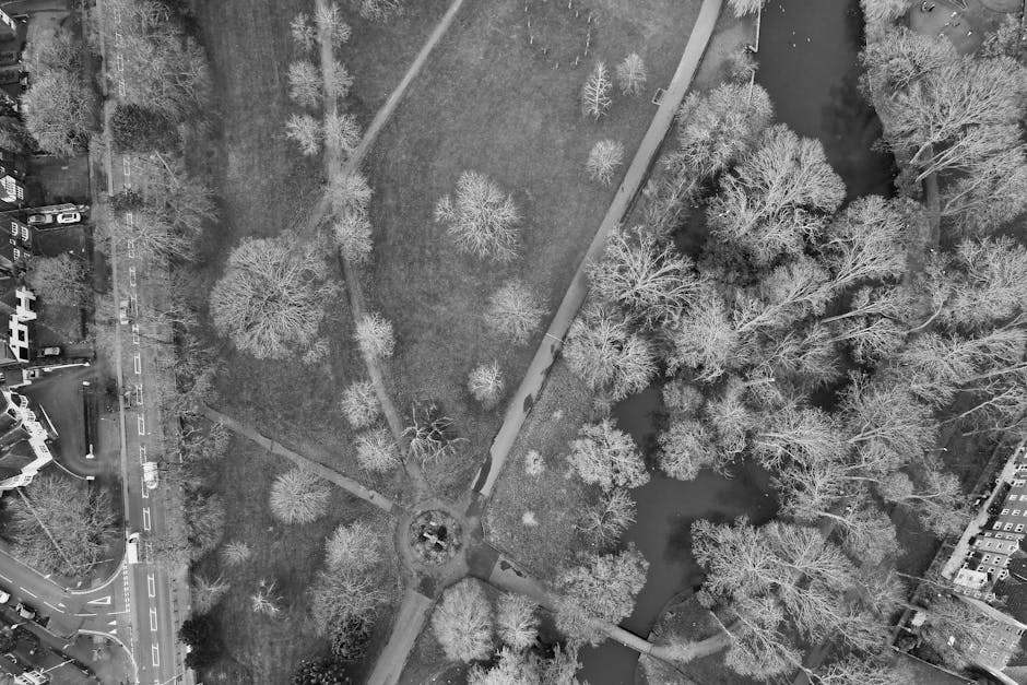 An aerial black-and-white photograph of a park with a central circular feature at a pathway junction, surrounded by numerous leafless trees and winding pathways. To the right, a narrow waterway runs through the wooded area, with a footbridge crossing over it. On the left edge, residential buildings and parked cars are visible alongside a street, indicating the park's urban setting. The image captures the layout and natural features of the park during winter, with no visible furniture or objects related to moving or packing. The scene is evenly lit with soft, diffuse light, emphasizing the natural elements and pathways. This photograph illustrates the environment where house removals or furniture transport may take place when relocating near Morden Hall Park, supported by Man with Van Merton Park's local moving services.
