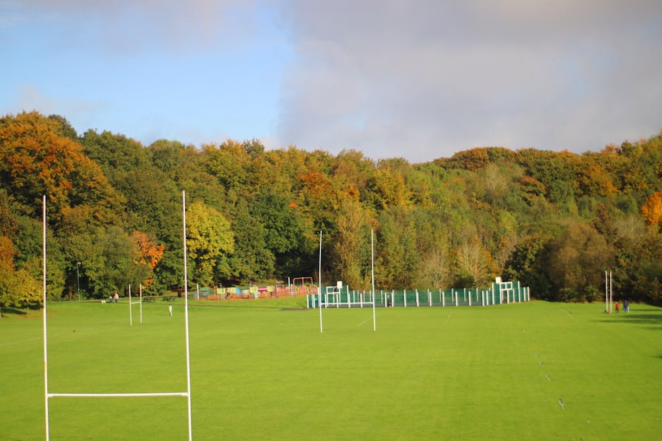Photograph of Merton Park Recreation Ground showing a row of mature, leafy trees with dense green foliage, some in full bloom with white flowers. The trees are situated on well-maintained grass, where a few groups of people are seen sitting or relaxing, including a person lying under a tree on the left side. In the background, additional trees and a clear, partly cloudy sky are visible. The scene appears to be part of a peaceful outdoor area suitable for leisure activities, with ample space for walking or resting. This setting provides a natural environment that could be associated with house removals and moving services, as it depicts an accessible outdoor space near residential areas, relevant to packing and logistics performed by companies such as Man with Van Merton Park during home relocations at this location.